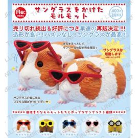 Guinea Pig Wearing Sunglasses