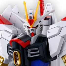 MIGHTY STRIKE FREEDOM GUNDAM HG